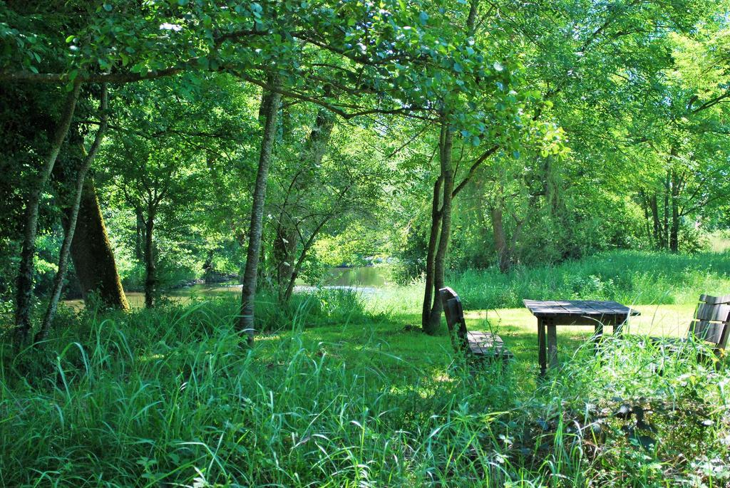 Domaine Les Gandins Bed and Breakfast Saint-Germain-de-Salles Exterior foto